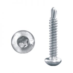Ref.: CXBR13 PF.A.P. PT.BR. TORX T-30 6,3X38,1MM RG (2000UN)